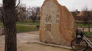 春になるとお散歩したくなる