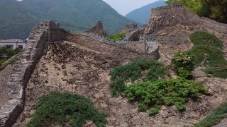 最初は期待してなかったけど…