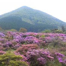 ゴルフ場付近（山は普賢岳ではありません）