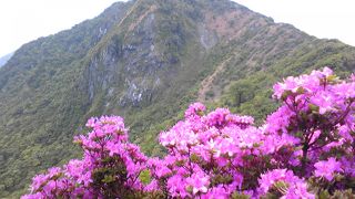 平成新山は間近だった