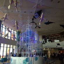 館内の水槽が置いてあるスペース