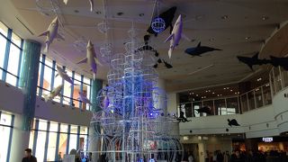 お台場アクアシティ