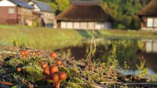 荻ノ島かやぶきの里