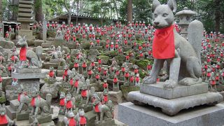 お狐様がいっぱい