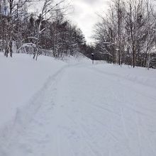ストイックな上級者コース
