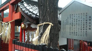 川の決壊を「歯止め」したことが由来だそうです