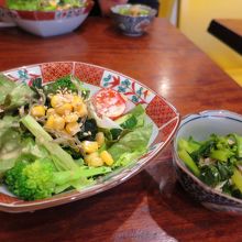 生野菜のサラダと煮物