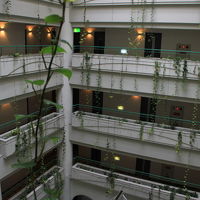 客室から出ると植物がぶらさがってます。