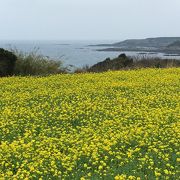 遣唐使船も寄った天然の良港