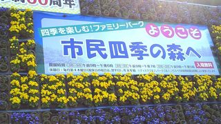 春にお勧め　桜のきれいな公園