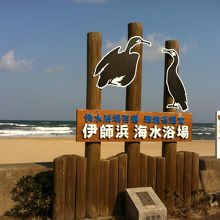 日本一予約の取れない国民宿舎 鵜の浜岬 By Swimming Jump 鵜の岬 鵜のパラダイス ウミウ捕獲場 のクチコミ フォートラベル 日本一予約の取れない国民宿舎 鵜の浜岬 By Swimming Jump 鵜の岬 鵜のパラダイス ウミウ捕獲場 のクチコミ フォートラベル