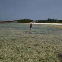 干潮時のニシ浜からみた製糖工場