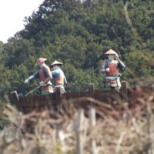 伊勢安土桃山文化村で撮影