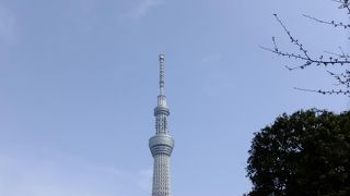 人が多くて下からにした