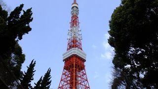 見晴らしいいぞ～