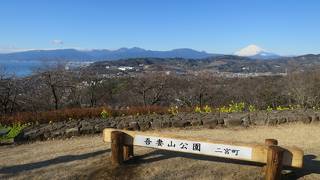 吾妻山公園