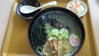 窓から津軽鉄道と岩木山