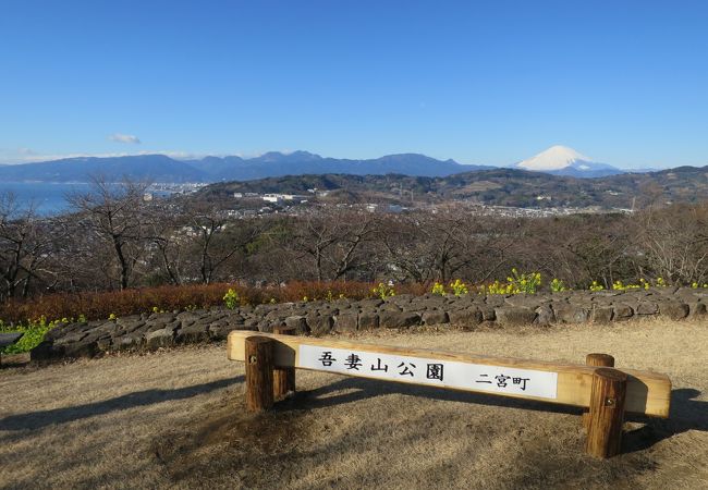 吾妻山公園