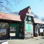 意外と穴場な動物園