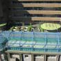 西側10階の客室から見た日大の建物