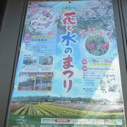 毎年恒例の約１ｹ月間の春のイベント