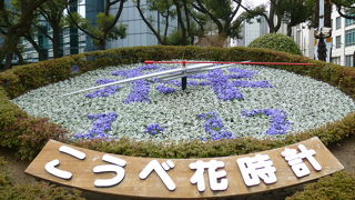 可愛らしい花々の花壇の中にある時計です