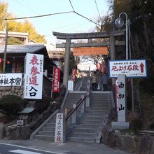 由加山で撮影