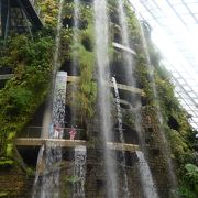 本当に高山にいるよう