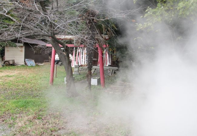 麓にある岡田稲荷・・・詫び寂びの雰囲気