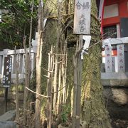 カサが治る・・かさのぎ神社