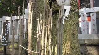 カサが治る・・かさのぎ神社