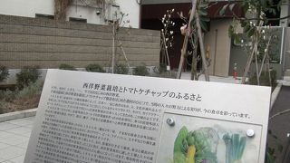 西洋野菜栽培とトマトケチャップのふるさとのスポット
