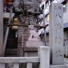 立派な銀杏です。