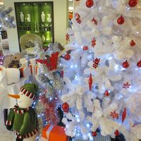 フロント前（クリスマスが翌月だったので）