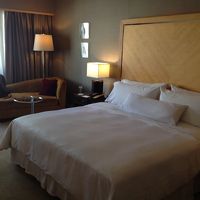 十分に広いです。