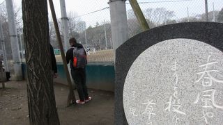 上野で野球を楽しんだ正岡子規に因んで名づけられました