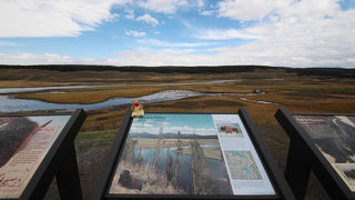 野生動物は距離を保ちつつ見守りましょう