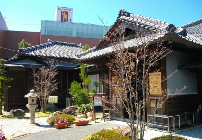 意外と大きいです