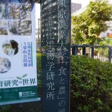 イグアナのいるバイオリウムもおすすめ By Myouga 東京農業大学 食と農 の博物館のクチコミ フォートラベル イグアナのいるバイオリウムもおすすめ By Myouga 東京農業大学 食と農 の博物館のクチコミ フォートラベル