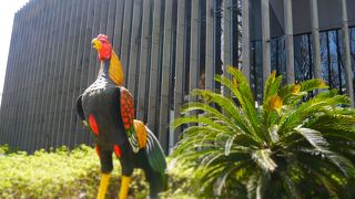 イグアナのいるバイオリウムもおすすめ