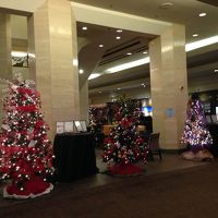 ロビーにはいくつものツリーが飾ってありました