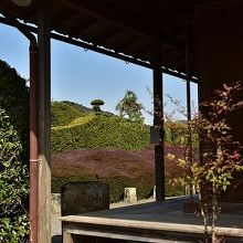 縁側から庭を眺める