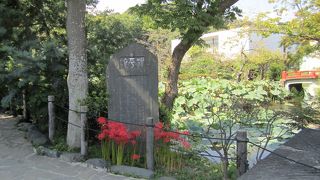 ９月後半は緑の葉っぱが目立ってしまって・・・