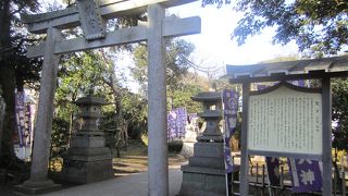 参拝している人多かったです