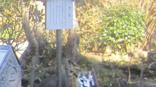 こんなに重たそうな石で力比べをしていたなんて驚きです