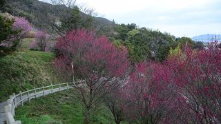 淡路ふれあい公園