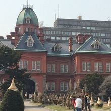 まだ雪囲いしています