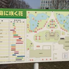 「前庭に咲く花」の看板