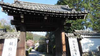 小野小町ゆかりのお寺 ♪