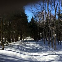 静かな雪の森をスノーシューで散歩